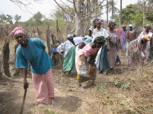 Vrouwen in Macouda maken het terrein gereed