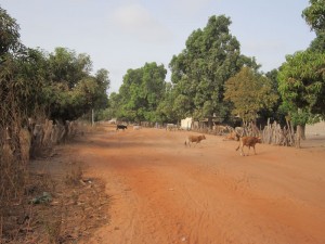 De weg die vanuit Marakissa in Darsilami komt