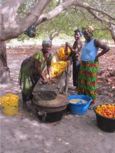 Maken van sterke drank uit cashew-appels 