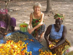 Willemien helpt bij de cashew oogst