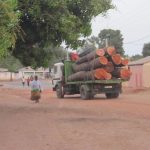 Bomen worden afgevoerd uit Darsilami